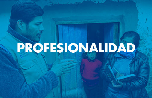 NUESTROS PRINCIPIOS - PROFESIONALIDAD